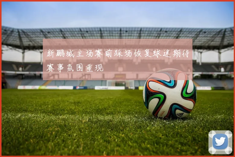 新鹏城主场赛前踩场恢复球迷期待赛事氛围重现